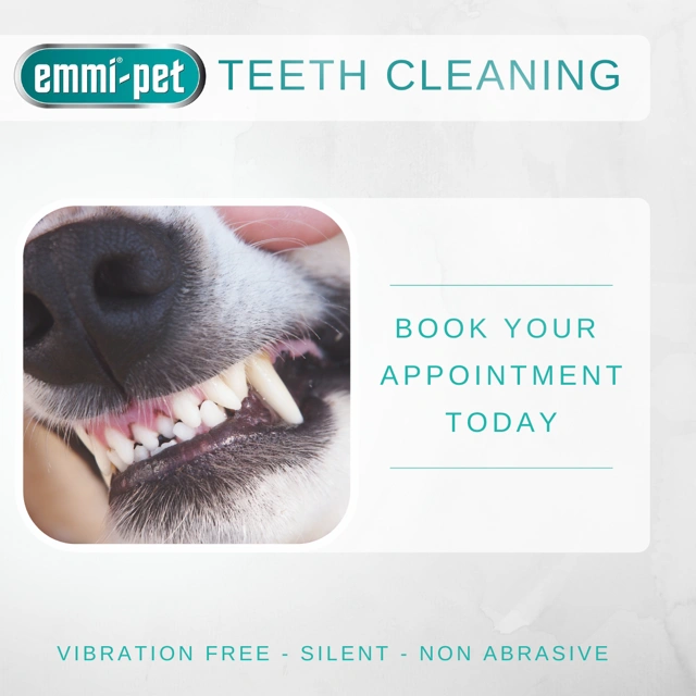 Emmi Pet Teeth Cleaning